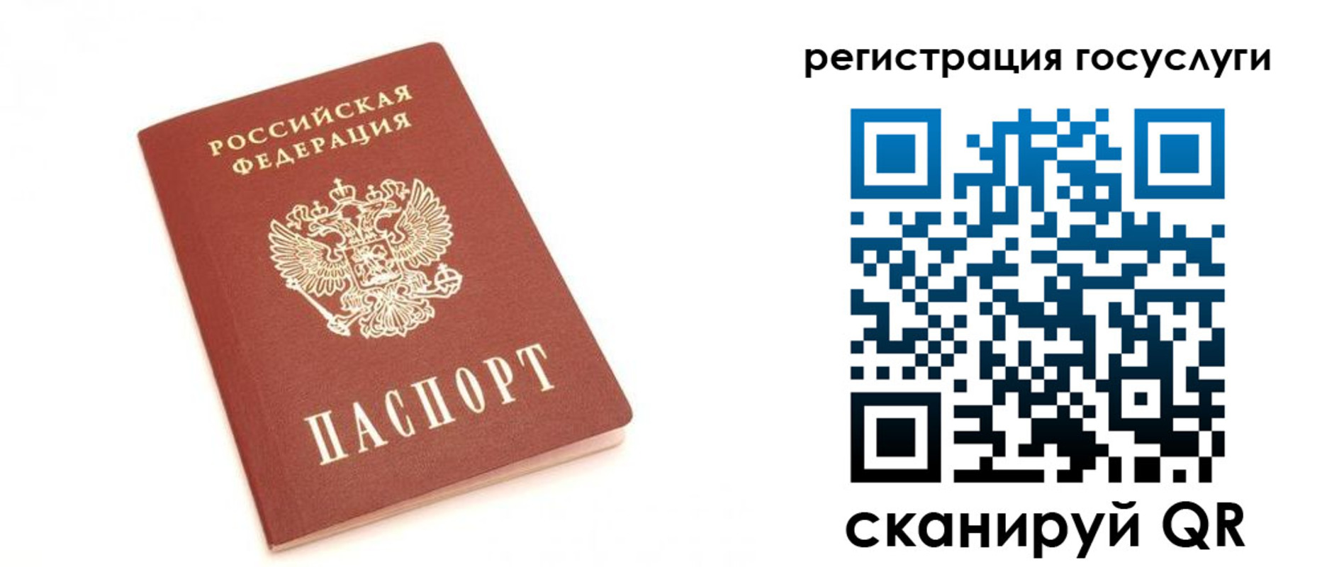 прописка для школы в Волоколамске